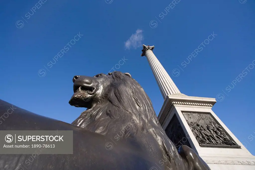 Nelson´s Column and Landseer´s lion statue, Trafalgar Square, London, England, United Kingdom, Europe