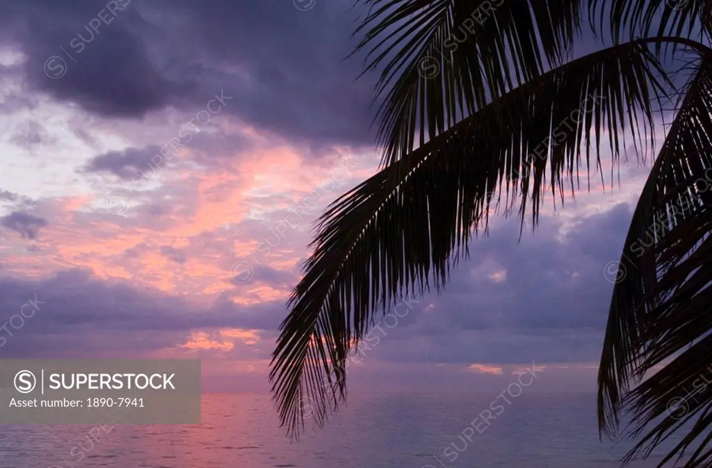 Sunset on the Playa Ancon and palm tree leaves in silhouette, Trinidad, Cuba, West Indies, Central America