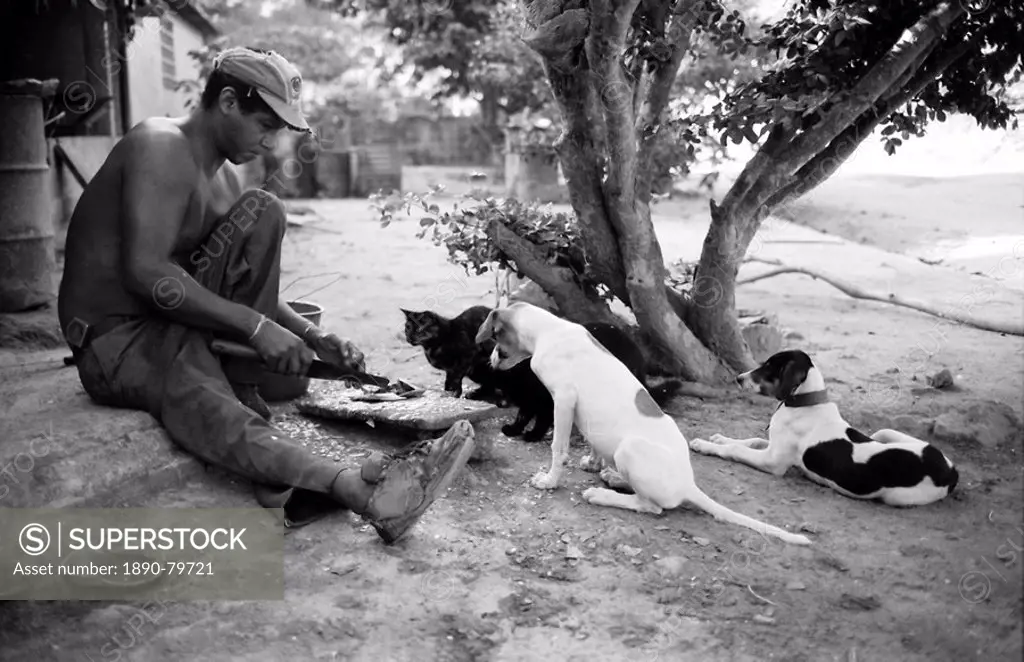Man preparing breakfast, watched by dogs and a cat, Medina, Venezuela, South America