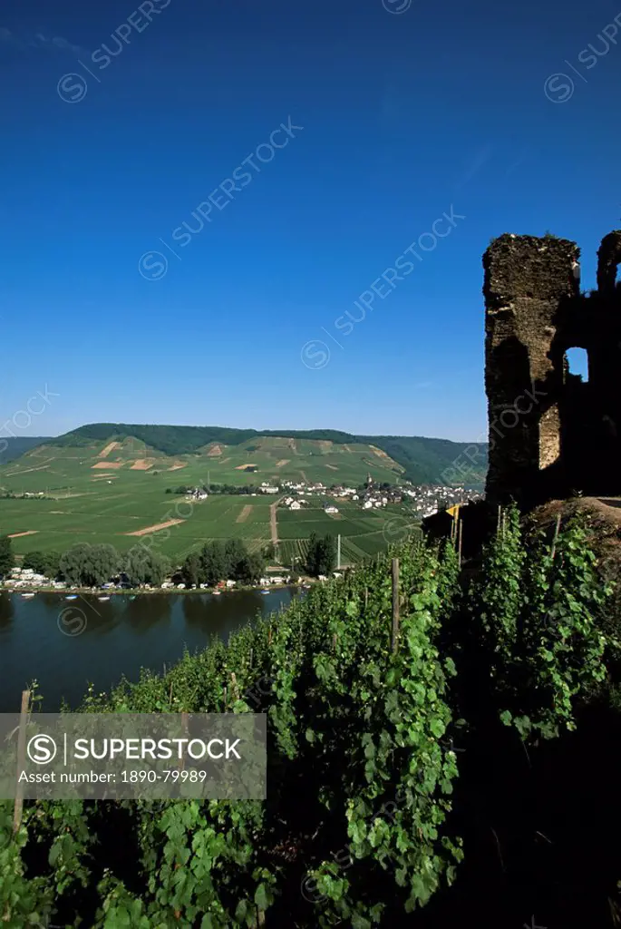 Gravenburg castle and vineyard above the River Mosel, Gravenburg, Germany, Europe