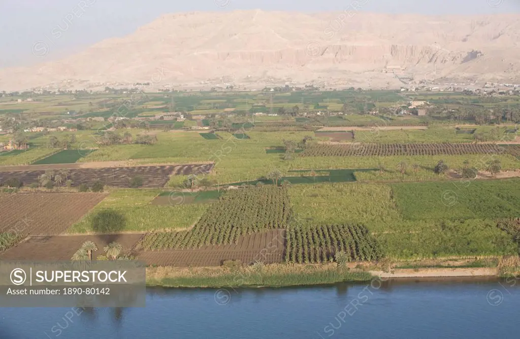 View of the side of the River Nile with the Temple of Deir El Bahari in the background, Thebes, Egypt, North Africa, Africa