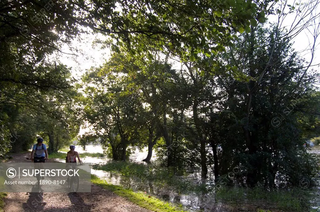 Cyclists on the towpath of the River Thames near Richmond_upon_Thames at high tide, Surrey, England, United Kingdom, Europe