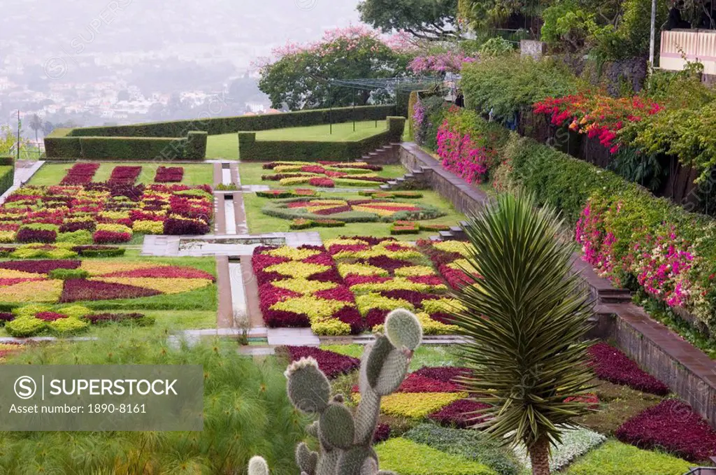 A terrace planted in geometric shapes with contrasting red and green plants in the Jardim Botanico, Funchal, Madeira, Portugal, Europe