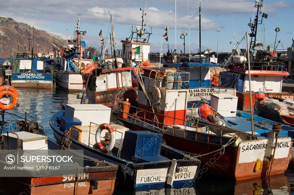 Fishing boats in the harbour in Funchal, Madeira, Portugal, Atlantic, Europe