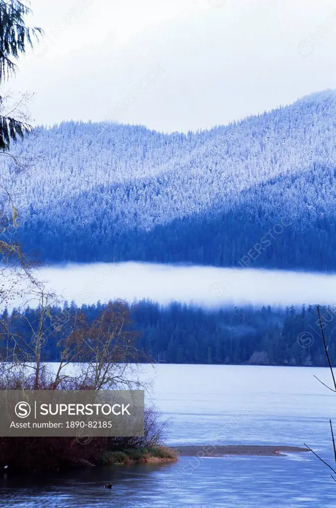 Lake Quinault, Olympic National Park, UNESCO World Heritage Site, Washington State, United States of America U.S.A., North America