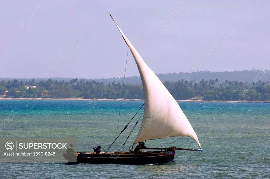 A traditional wooden dhow sailing off the coast of Zanzibar, Tanzania, East Africa, Africa