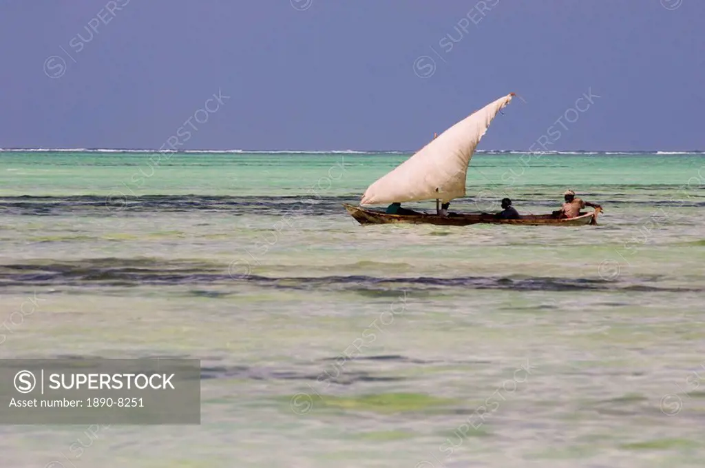 A traditional wooden dhow with sail, Zanzibar, Tanzania, East Africa, Africa