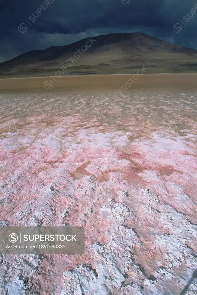 Landscape, Laguna Colorada, Bolivia, South America