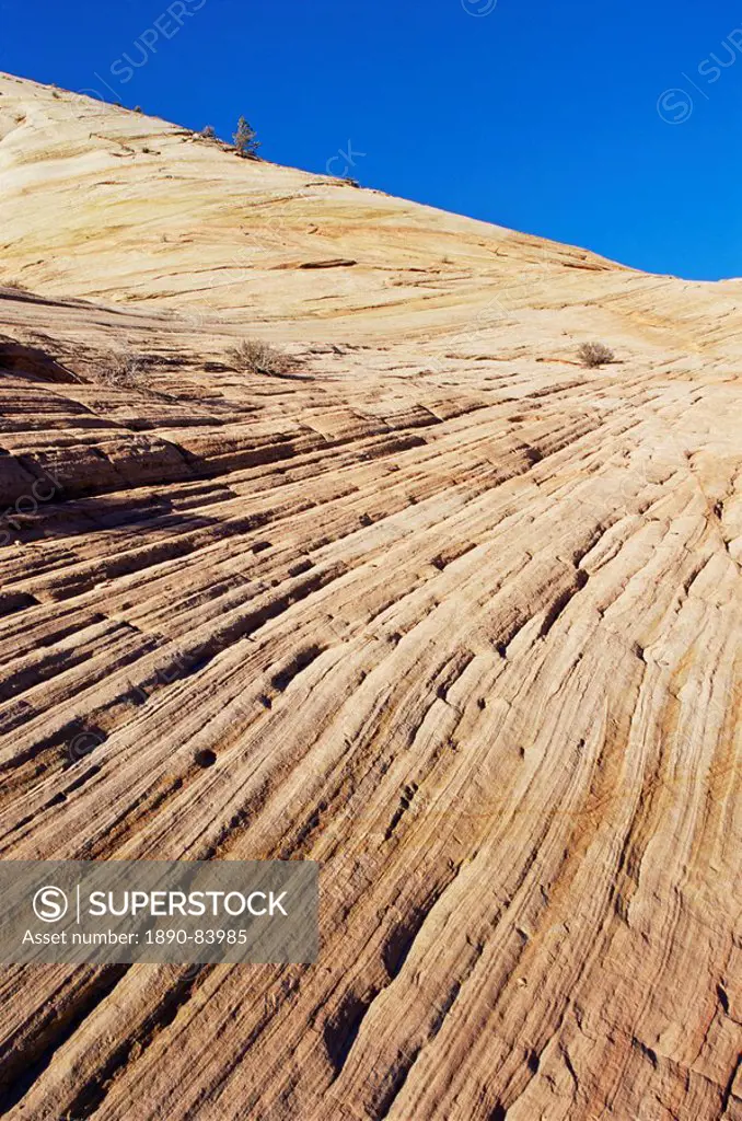 Slickrock, Zion National Park, Utah, United States of America, North America
