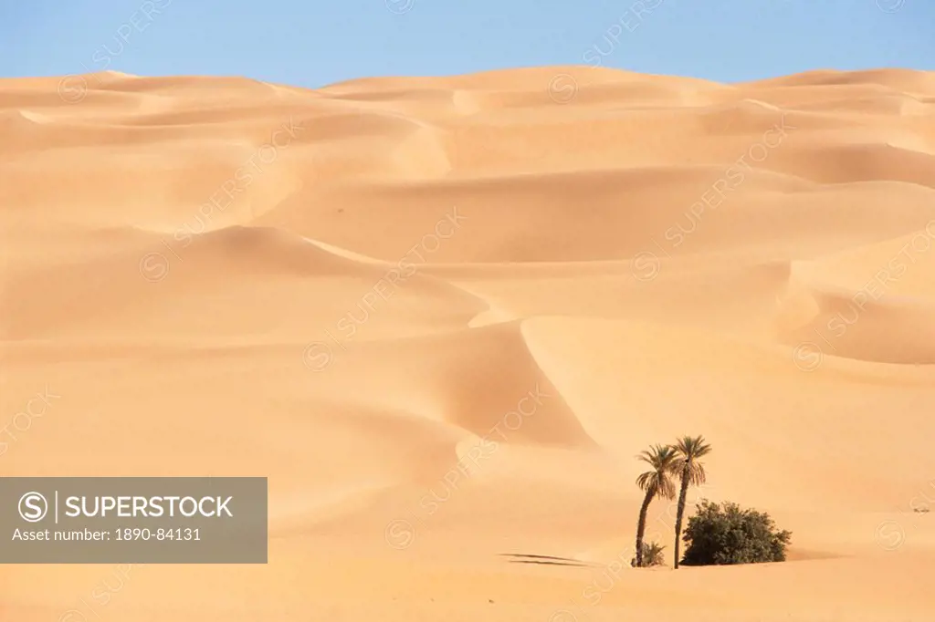 Mandara area, Southwest desert, Libya, North Africa, Africa