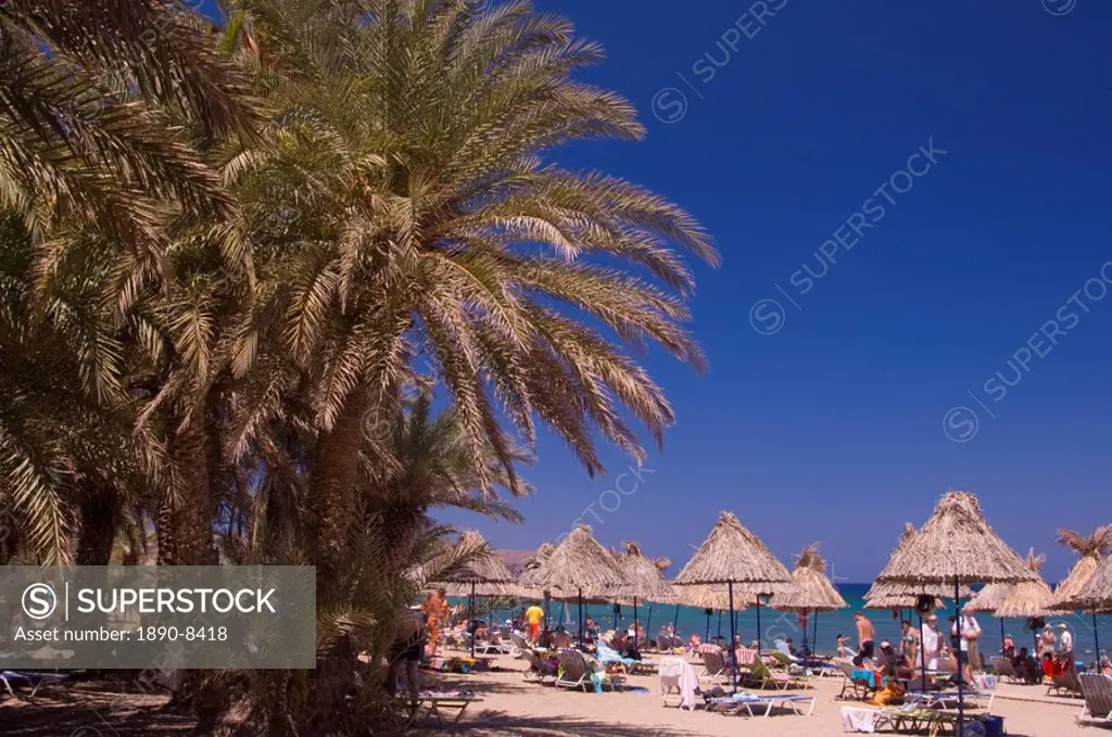 A view of the palm fringed beach at Vai in Eastern Crete, Greek Islands, Greece, Europe