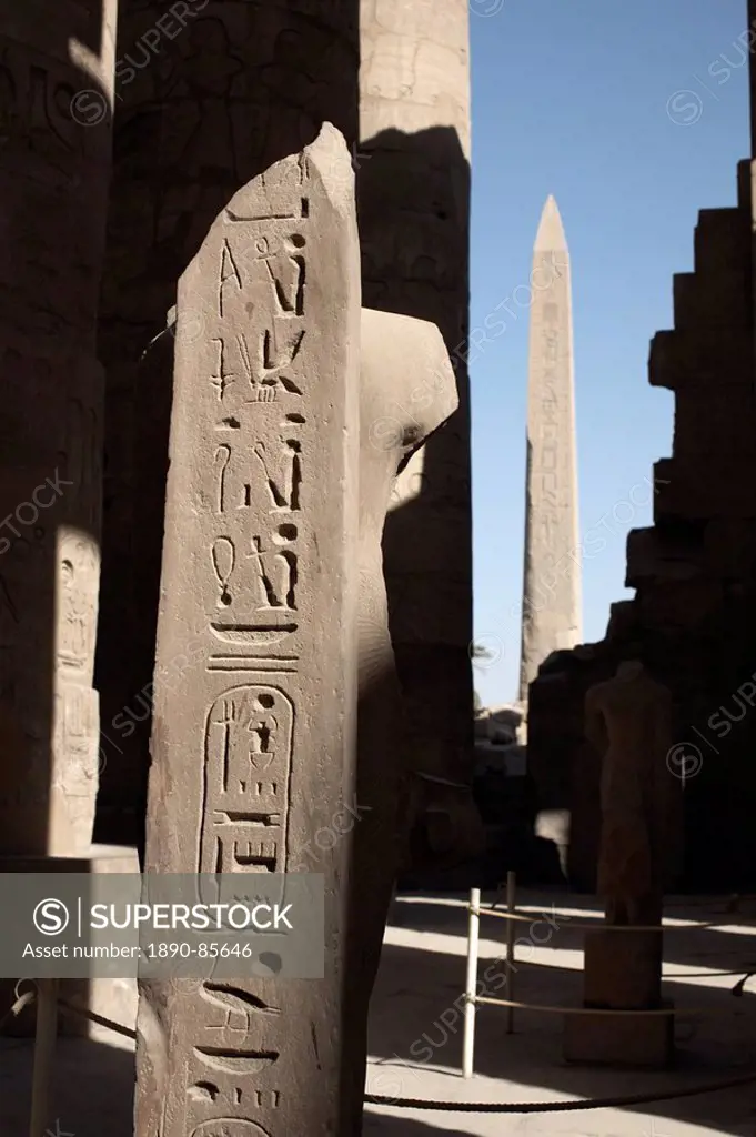Hieroglyphics on columns within the Temples of Karnak, Luxor, Thebes, UNESCO World Heritage Site, Egypt, North Africa, Africa