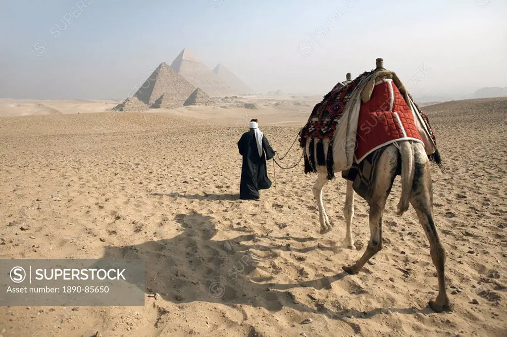 A Bedouin guide and camel approaching the Pyramids of Giza, UNESCO World Heritage Site, Cairo, Egypt,North Africa, Africa