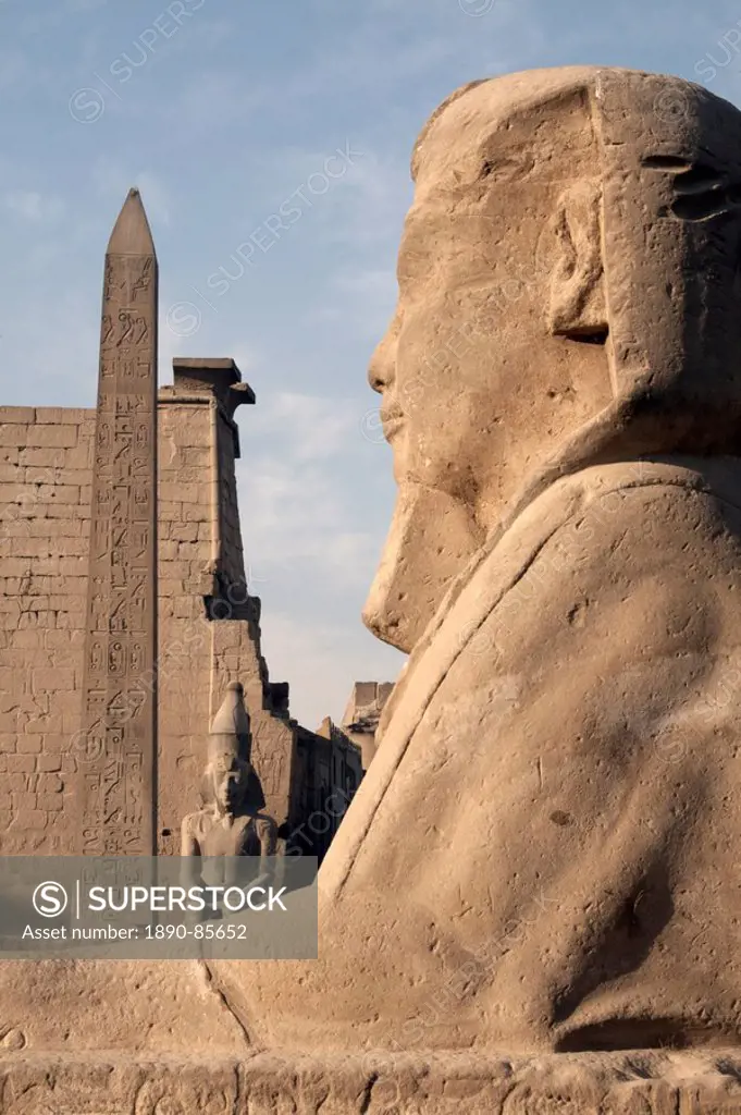 A sphinx stands in front of Luxor Temple, Luxor, Thebes, UNESCO World Heritage Site, Egypt, North Africa, Africa