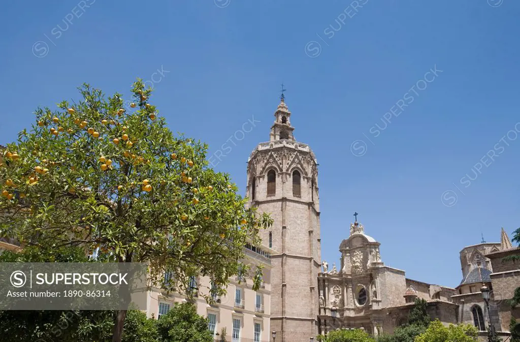 orange tree, park, gardens, palm trees, tower, el Miguelet, Valencia, Mediterranean, Costa del Azahar, Spain, Europe