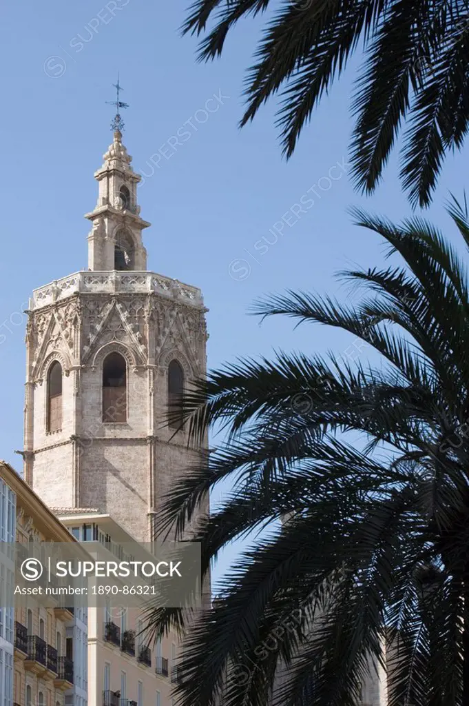 palm trees, tower, el Miguelet, cathedral, rValencia, Mediterranean, Costa del Azahar, Spain, Europe