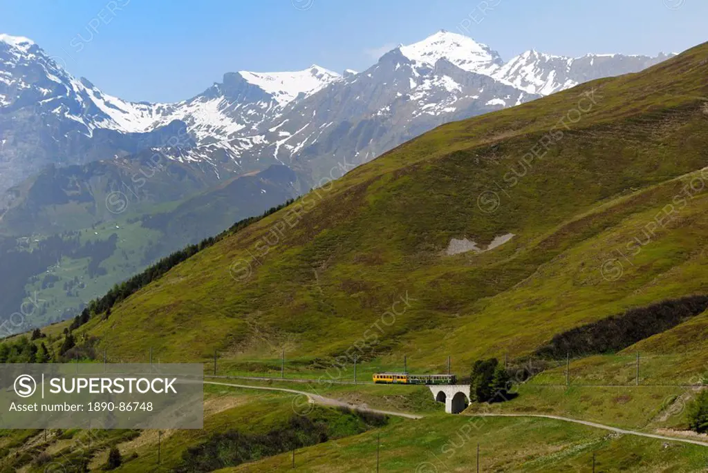 Train from Kleine Scheidegg on route to Wengen, Bernese Oberland, Swiss Alps, Switzerland, Europe