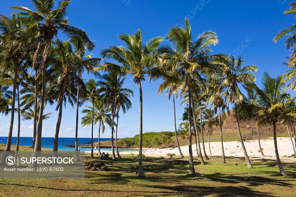 Anakena beach, the Island´s white sand beach fringed by palm trees, Rapa Nui Easter Island, Chile, South America