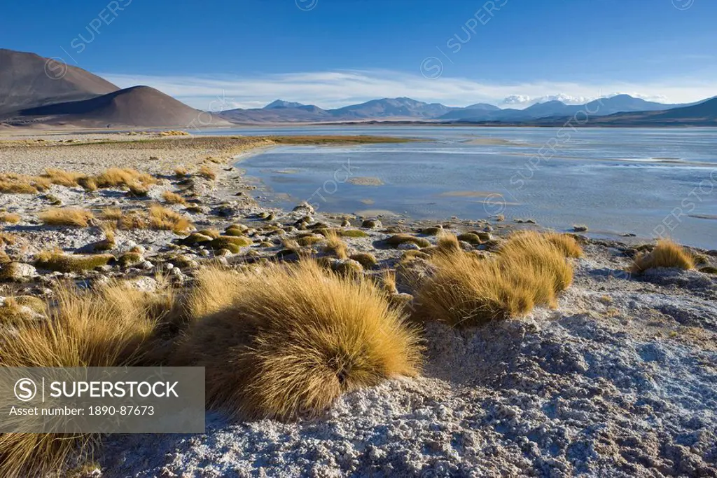 The altiplano at an altitude of over 4000m looking over the salt lake Laguna de Tuyajto, Los Flamencos National Reserve, Atacama Desert, Antofagasta R...