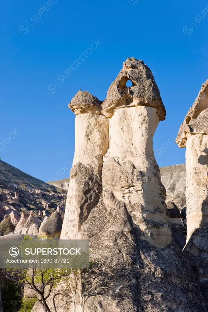 Phallic pillars known as fairy chimneys in the valley known as Love Valley near Goreme in Cappadocia, Anatolia, Turkey, Asia Minor, Eurasia