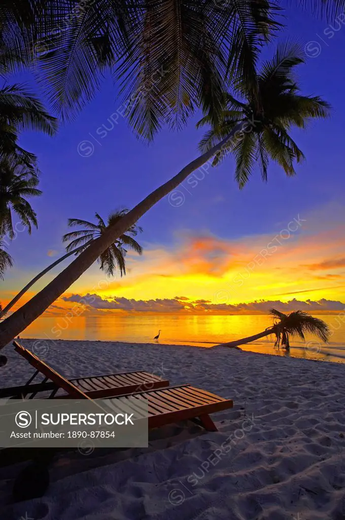 Deckchair on tropical beach by palm tree at dusk and blue heron, Maldives, Indian Ocean, Asia
