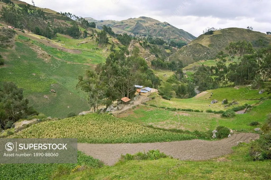 Maize fields and farm of indigenous Canari people near Inca ruins, at elevation of 3230m, Ingapirca, Southern Highlands, Canar Province, Ecuador, Sout...
