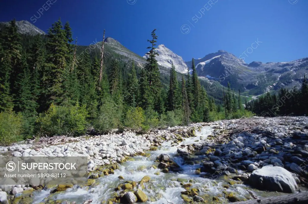 The Illercillewaet River valley and the Sir Donald Range of the Selkirk Mountains, Glacier National Park, British Columbia B.C., Canada, North America