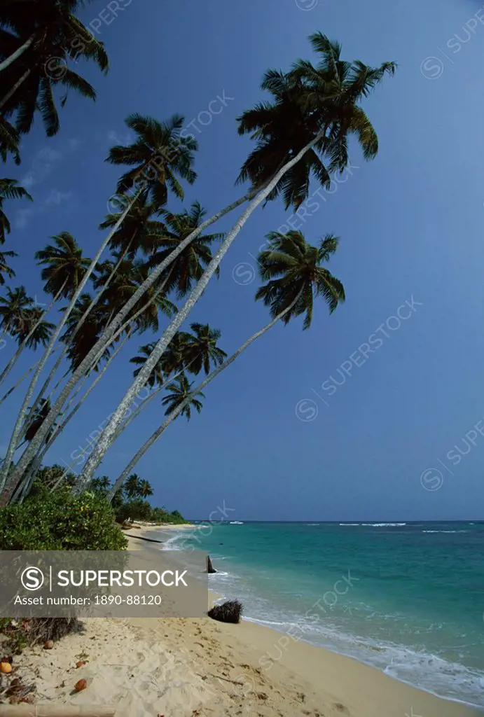 Palm trees and sandy beach on the south coast, Unawatuna, Sri Lanka, Indian Ocean, Asia