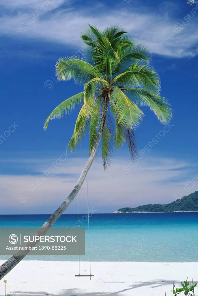 Palm tree and beach, Long Beach, Perhentian Kecil, smaller of the two Perhentian Islands, Terenggenu Terengganu, Malaysia, Asia