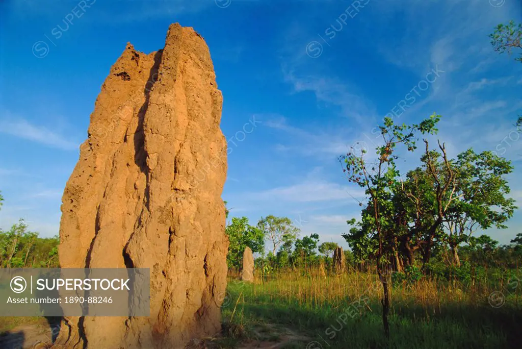 Termite ´cathedral´ by the Arnhem Highway near the Mary River Crossing between Darwin and Kakadu at ´The Top End´, Northern Territory, Australia