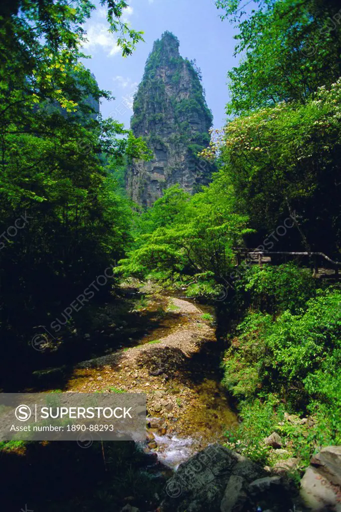 Spectacular limestone outcrops and forested valleys of Zhangjiajie Forest Park in the Wulingyuan Scenic Area, Hunan Province, China