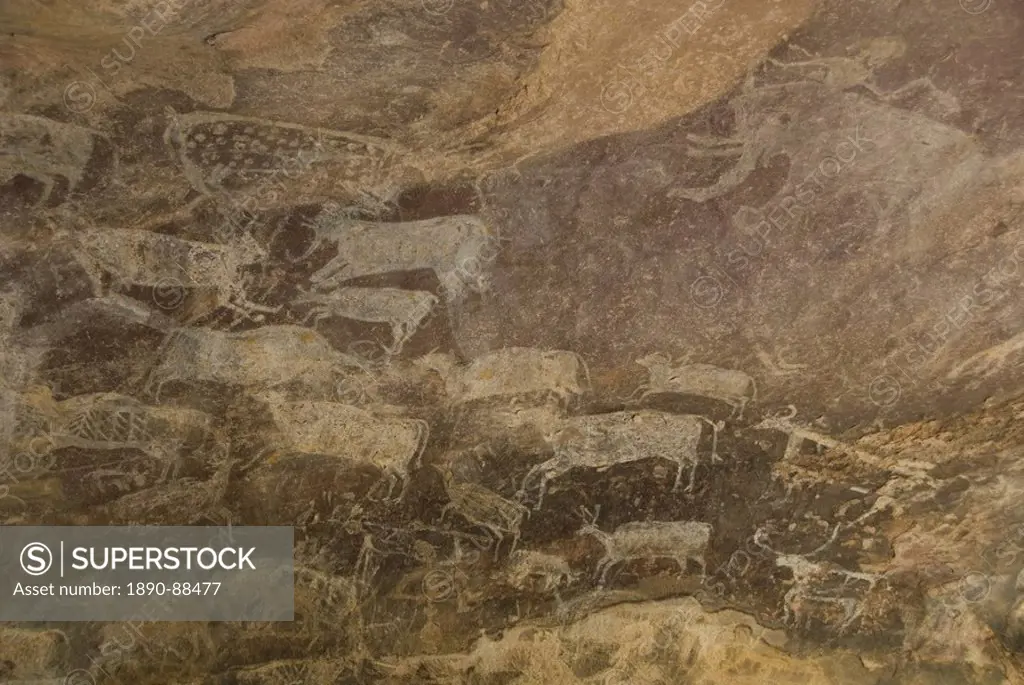 Some of the animals in the Palaeolithic artwork on the roof of the Zoo Cave, Bhimbetka Caves, a large group of rock shelters in quartzitic sandstone i...