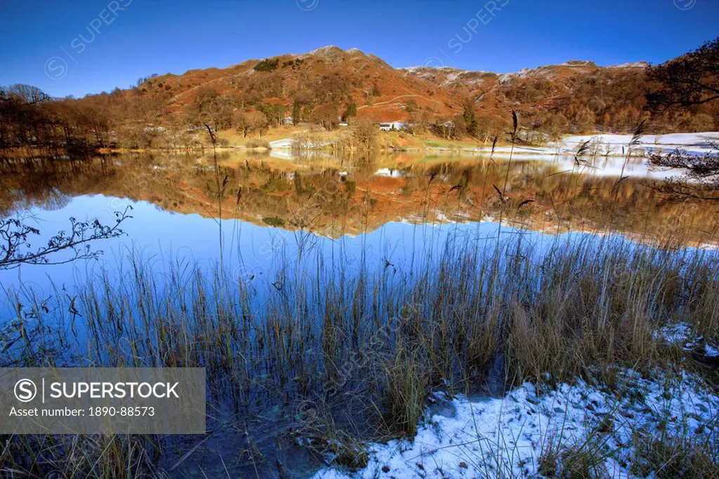 Winter view across Loughrigg Tarn with reflections, near Ambleside, Lake District National Park, Cumbria, England, United Kingdom, Europe