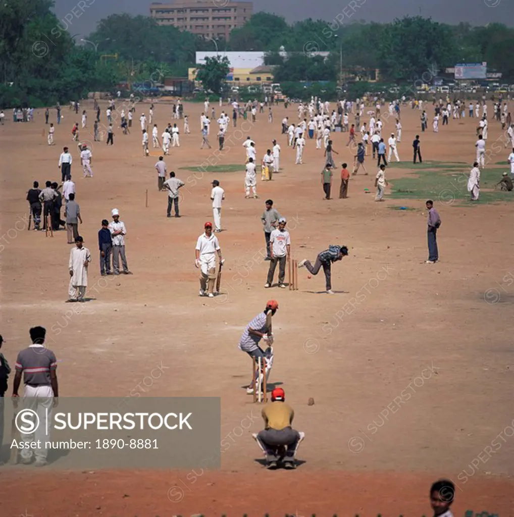 Sunday cricket, New Delhi, India, Asia