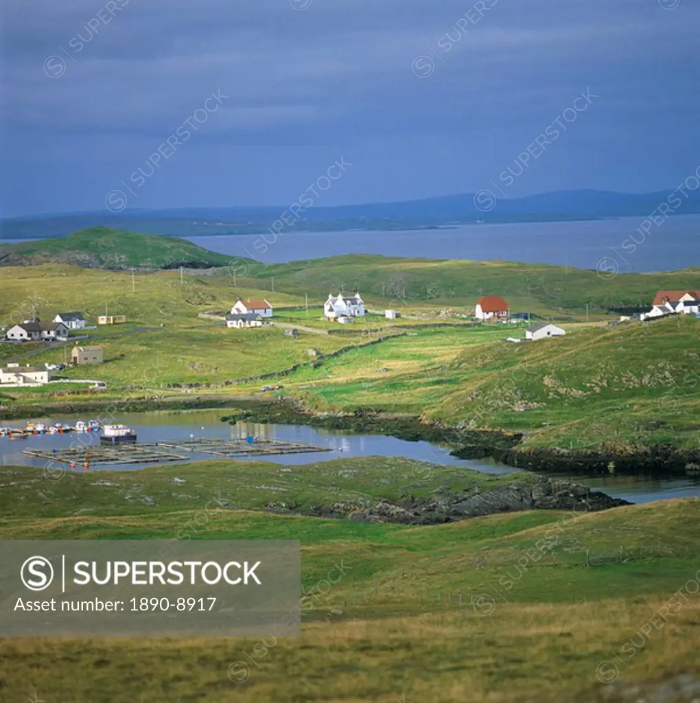 Out Skerries, Shetland Islands, Scotland, United Kingdom, Europe