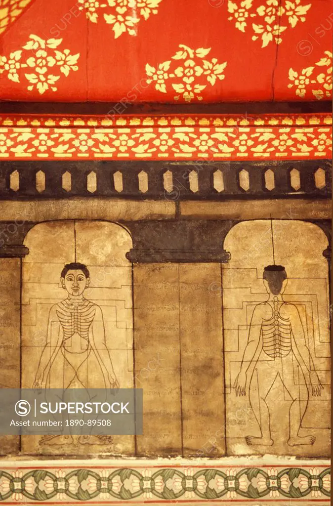 Acupressure points on a mural at Wat Po, Bangkok, Thailand, Southeast Asia, Asia