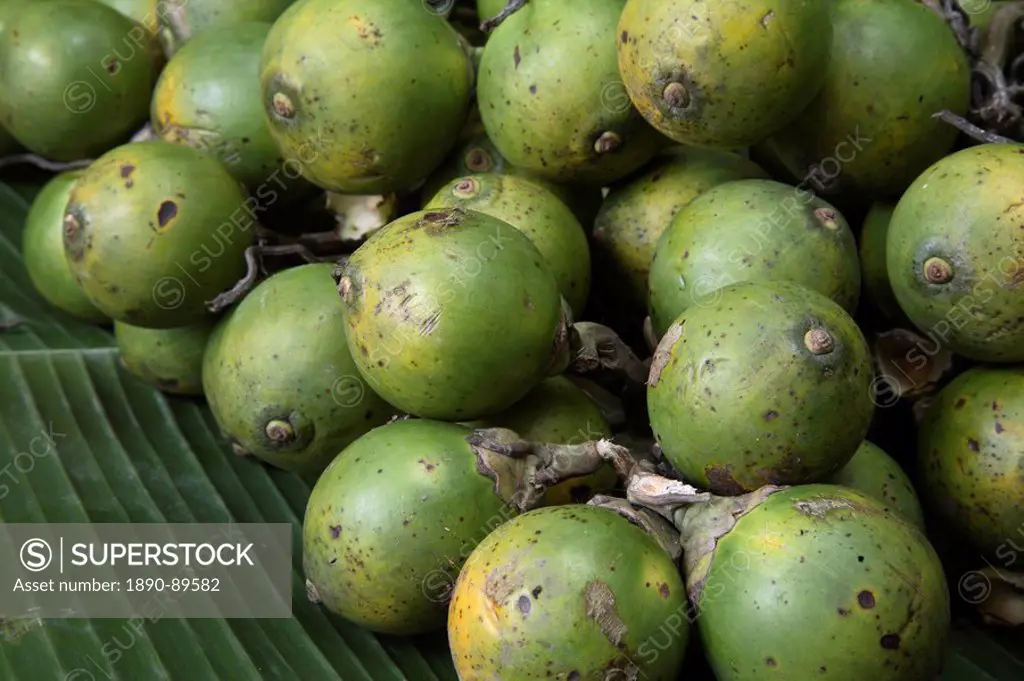 Betel nut, reported to be anti_parasitic, laxative and to promote urination, also proven to be a stimulant as it increases heart rate and blood pressu...