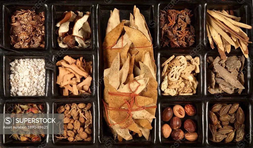 Various Chinese herbs for traditional Chinese medicine