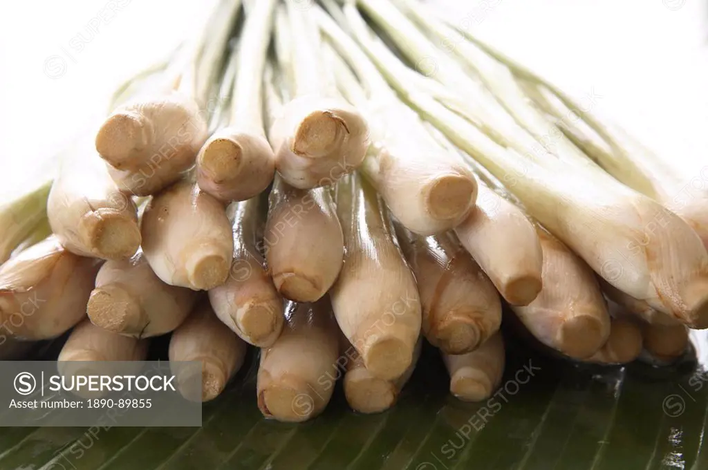 Lemongrass, used in cooking and for detoxifying the liver, kidney, bladder and digestive tract, reducing cholesterol , stimulating digestion and circu...