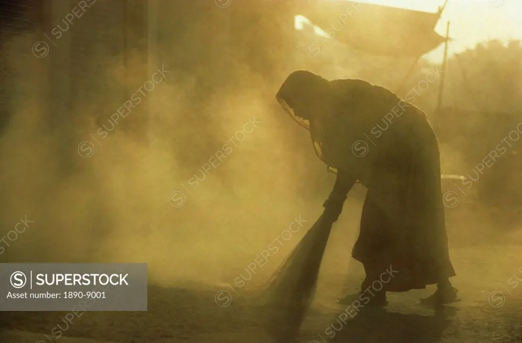 Street sweeper, northern India, India, Asia