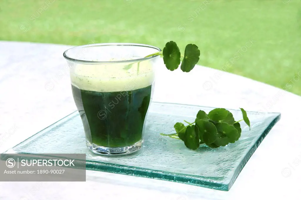 Brahmi leaves Centella Asiatica and a drink made from it used for abdominal disorders