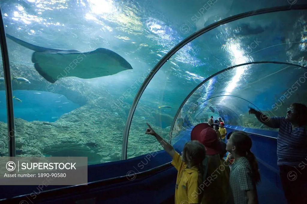 Children looking at a stingray, Aquarium of Western Australia, Perth, Western Australia, Pacific