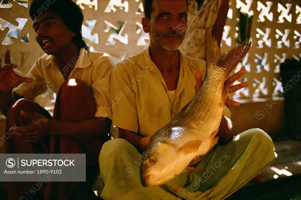 Fish market, Kolkata, West Bengal state, India, Asia