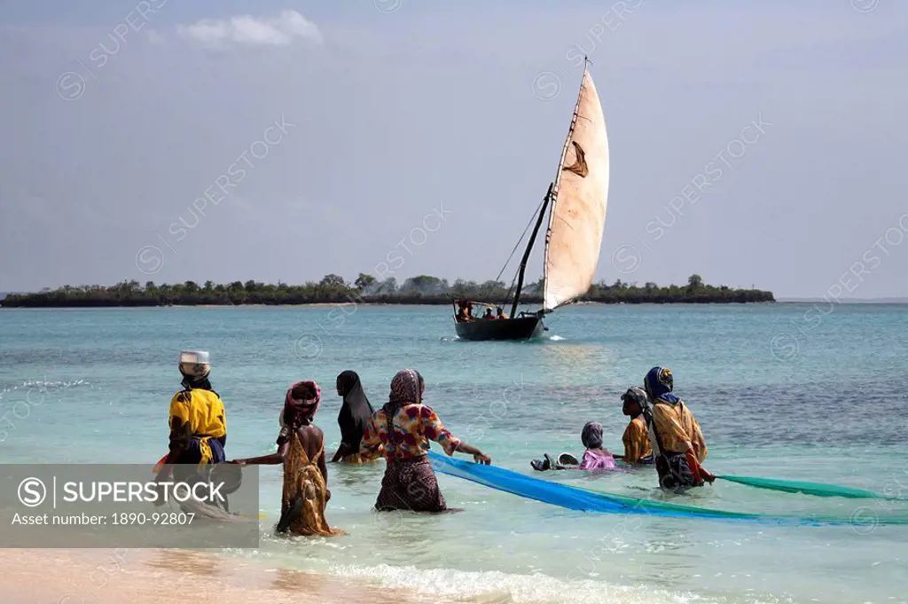 Women fishing on Kendwa Beach, Zanzibar, Tanzania, East Africa, Africa