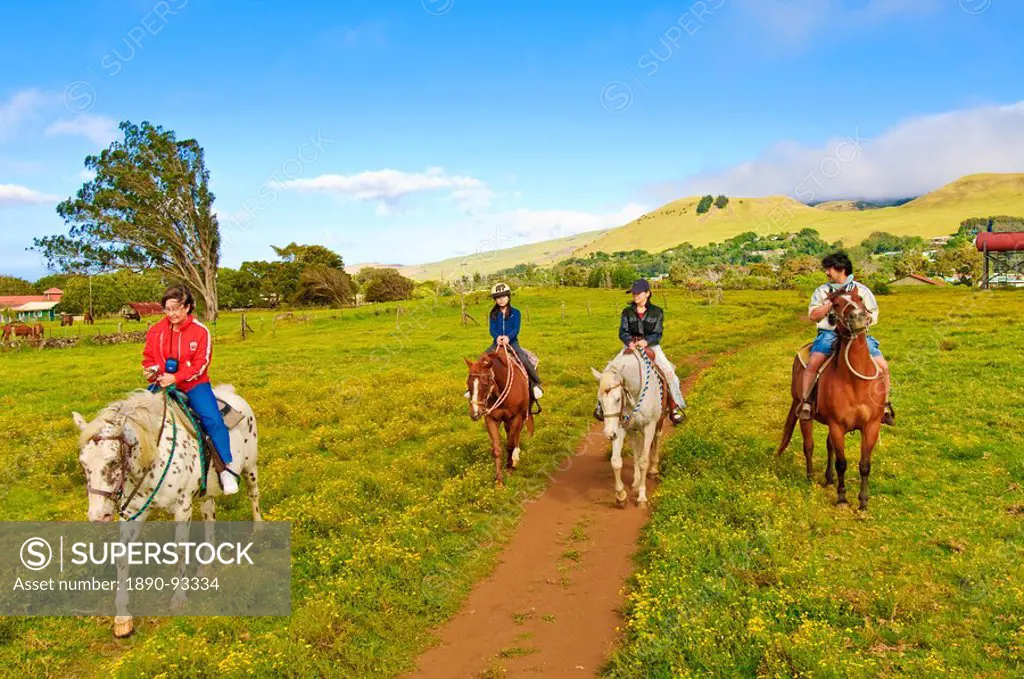 Horseback riding at Parker Ranch, The Big Island, Hawaiian Islands, United States of America, Pacific, North America