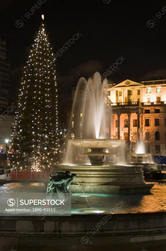Christmas tree and fountains in Trafalgar Square at night, London, England, United Kingdom, Europe