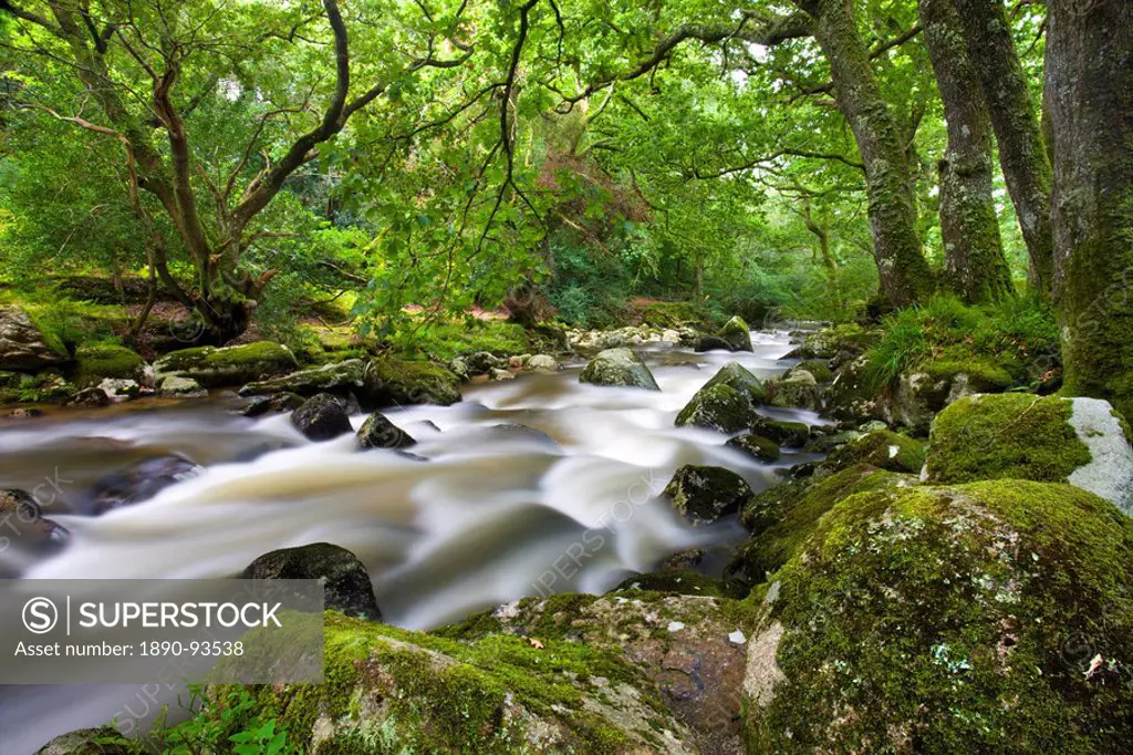 Rocky River Plym near Shaugh Prior in Dartmoor National Park, Devon, England, United Kingdom, Europe