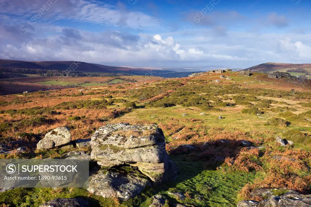 Granite boulders on Hayne Down, Dartmoor National Park, Devon, England, United Kingdom, Europe