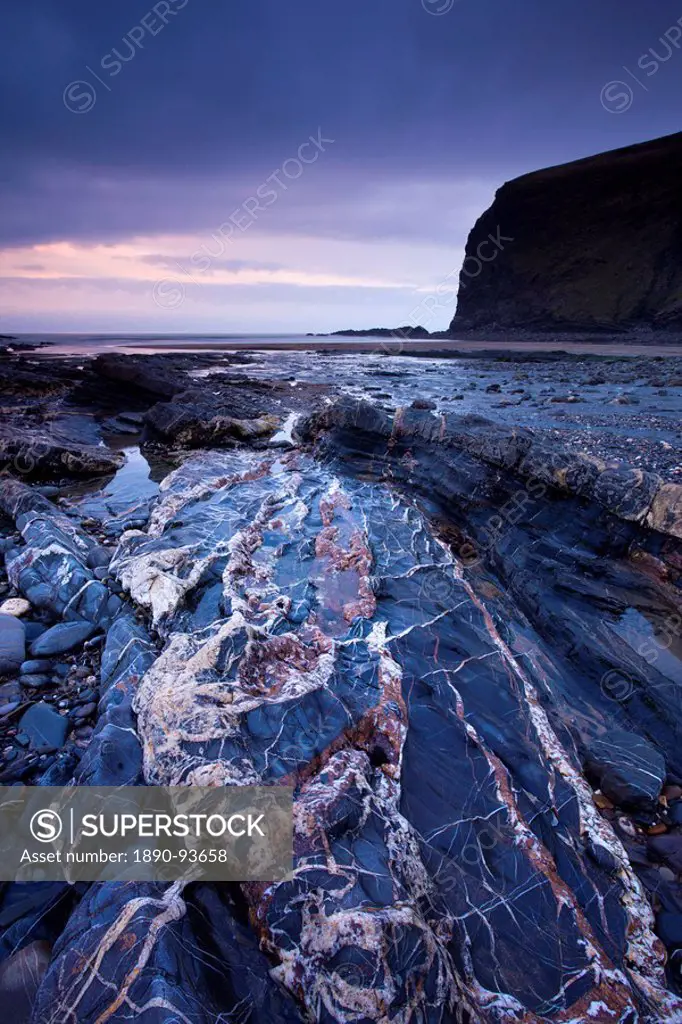 Quartz veins in the rock bed at Crackington Haven, Cornwall, England, United Kingdom, Europe