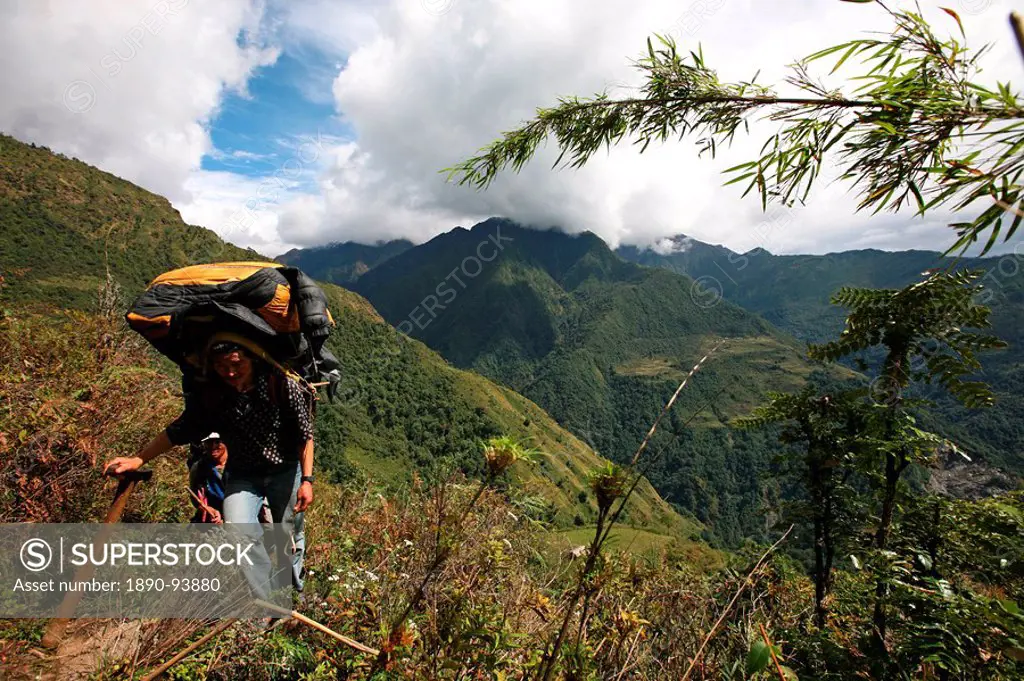 Nepali porter carries a heavy load using traditional wicker basket and tump headband in the lower Hingku Valley, close to Lukla and Mount Everest, Khu...